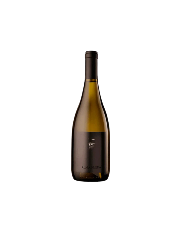 ALMA NEGRA BLANCO