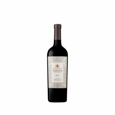 SALENTEIN NUMINA MALBEC