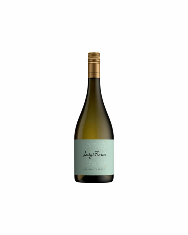 LUIGI SUAVIGNON BLANC LUIGI BOSCA SUAVIGNON BLANC